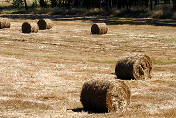 Image showing Fall Hay Bale