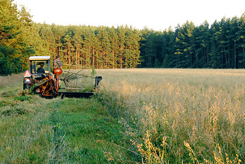 Image showing A man operates an old tractor