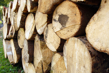 Image showing pile of Wood