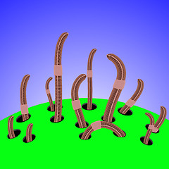 Image showing Red Worms Climbs