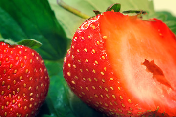 Image showing Cut a ripe strawberry to the major plan.
