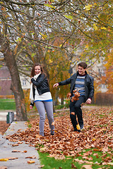 Image showing autumn couple