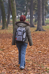 Image showing Autumn walk