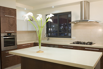 Image showing Kitchen luxury design