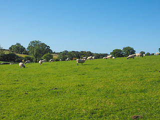 Image showing View of Tanworth in Arden