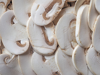 Image showing Champignon mushrooms background