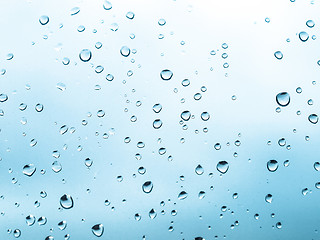 Image showing Rain droplets