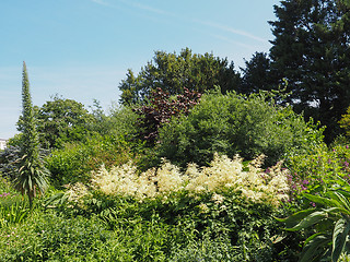 Image showing St James Park in London