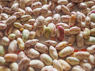 Image showing Crimson beans vegetables background