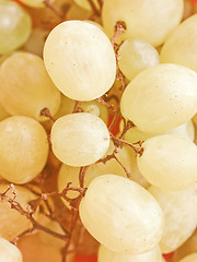 Image showing Retro looking Grape