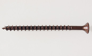 Image showing Wood screw