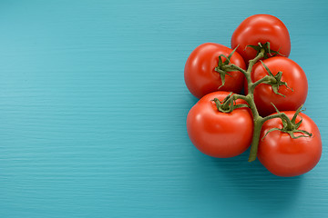 Image showing Five tomatoes on the vine on a blue background