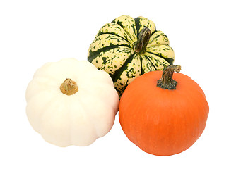 Image showing Three small pumpkins - orange, white and green striped gourds