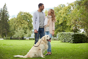 Image showing happy couple with labrador dog walking in city