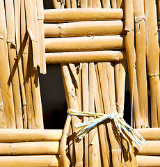 Image showing texture bamboo in morocco africa brown natural line closeup