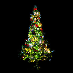 Image showing beautiful decorated and illuminated christmas tree