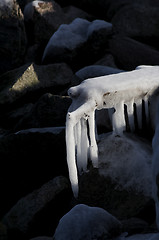 Image showing Icicles