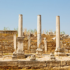 Image showing  in  perge old construction asia turkey the column  and the roma