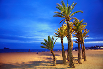 Image showing Empty beach with palm by night