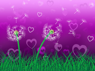 Image showing Dandelion Sky Represents Heart Shape And Grassy