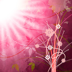 Image showing Sun Rays Means Flower Flowers And Pink