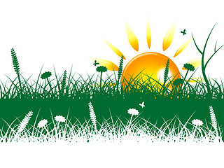 Image showing Grass Sun Represents Grassy Summer And Outdoor
