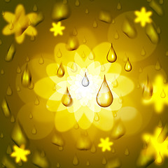 Image showing Rain Drop Shows Bloom Florals And Petal