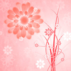 Image showing Background Pink Shows Bloom Petal And Blooming