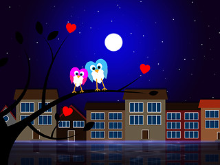 Image showing Moon Owls Represents Night Time And Apartment