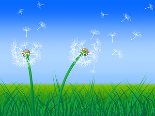 Image showing Dandelion Sky Shows Green Pasture And Grass