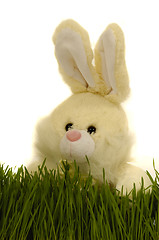 Image showing Easter bunny