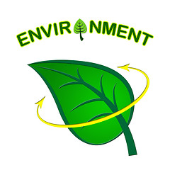 Image showing Environment Leaf Shows Earth Friendly And Conservation