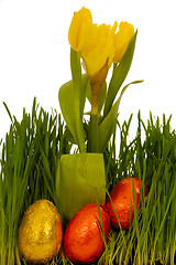Image showing Easter eggs and flowers