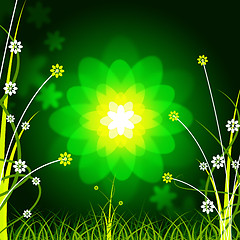 Image showing Glow Floral Shows Empty Space And Backdrop