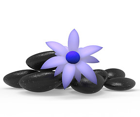 Image showing Spa Stones Shows Peace Bloom And Petal