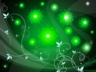 Image showing Background Floral Represents Florist Backgrounds And Backdrop