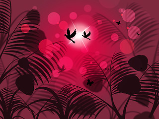 Image showing Leaves Nature Represents Birds In Flight And Abstract
