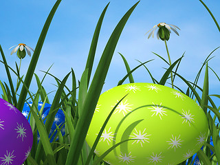Image showing Easter Eggs Means Green Grass And Environment