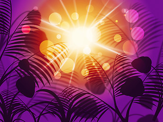 Image showing Leaves Sun Means Outdoor Template And Environment