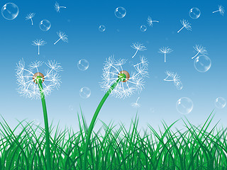 Image showing Dandelion Sky Indicates Green Grass And Environment