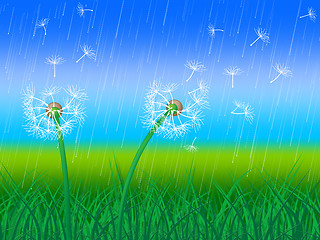 Image showing Dandelion Grass Shows Sky Flower And Environment