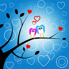 Image showing Heart Owls Indicates Valentine Day And Environment