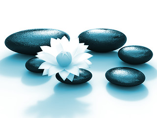 Image showing Spa Stones Indicates Floral Pebble And Calmness