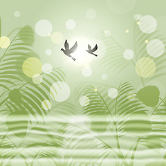 Image showing Doves Bokeh Indicates Freedom Environment And Green