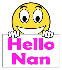 Image showing Hello Nan On Sign Shows Message And Best Wishes