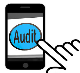 Image showing Audit Button Displays Auditor Validation Or Inspection