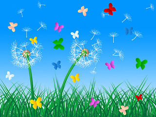 Image showing Butterflies Sky Means Dandelion Hair And Butterfly