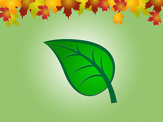 Image showing Nature Leaves Indicates Earth Day And Countryside