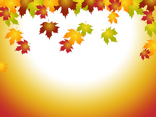 Image showing Fall Leaves Means Text Space And Blank