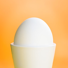 Image showing Egg